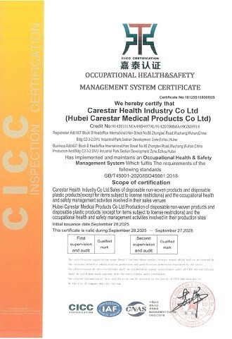 ISO45001 - ISO45001 -